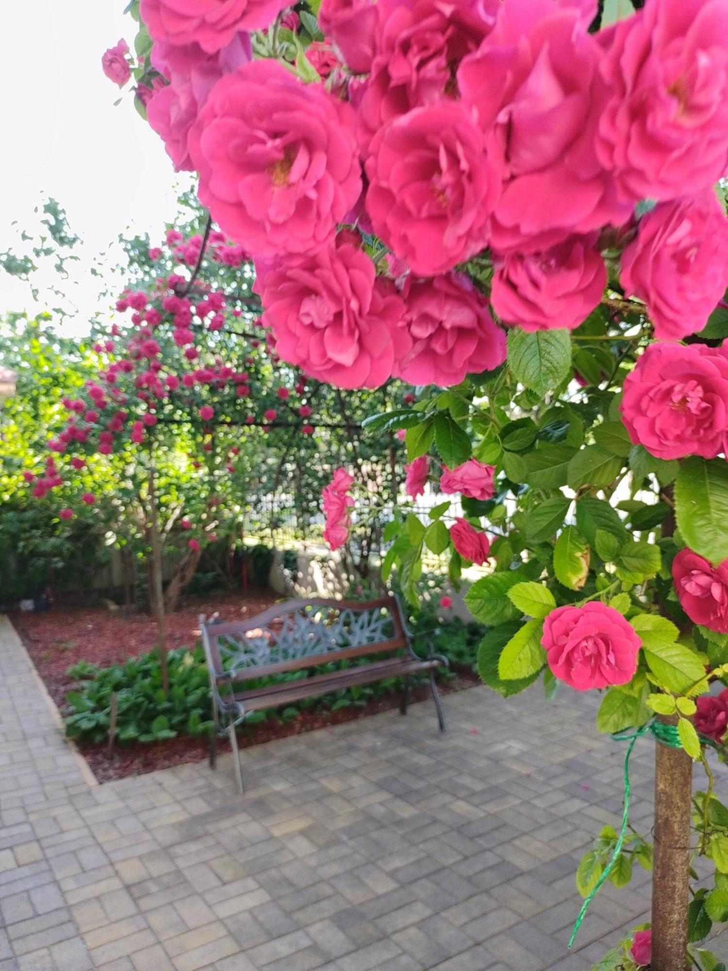 Berta Panzio Bed & Breakfast Hajduszoboszlo Exterior photo